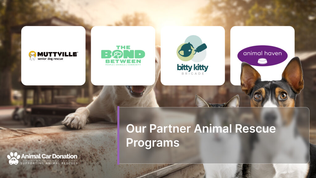 Our Partner Animal Rescue Programs