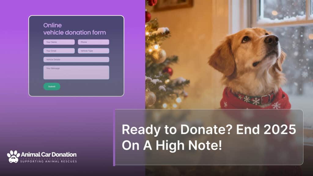 Ready to Donate? End 2025 On A High Note!