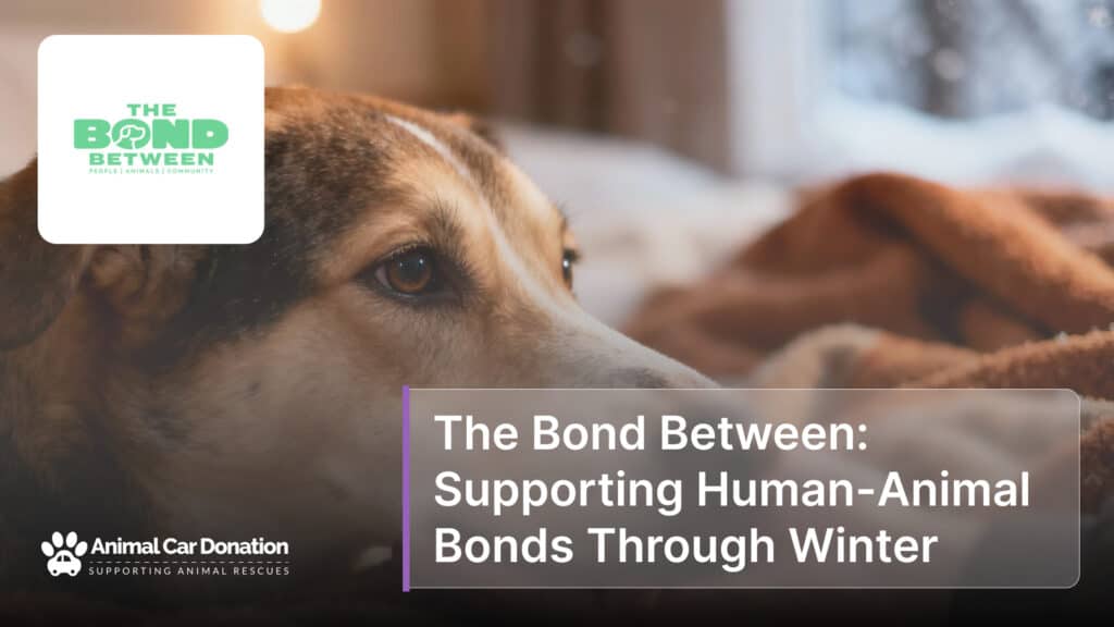 The Bond Between: Supporting Human-Animal Bonds Through Winter