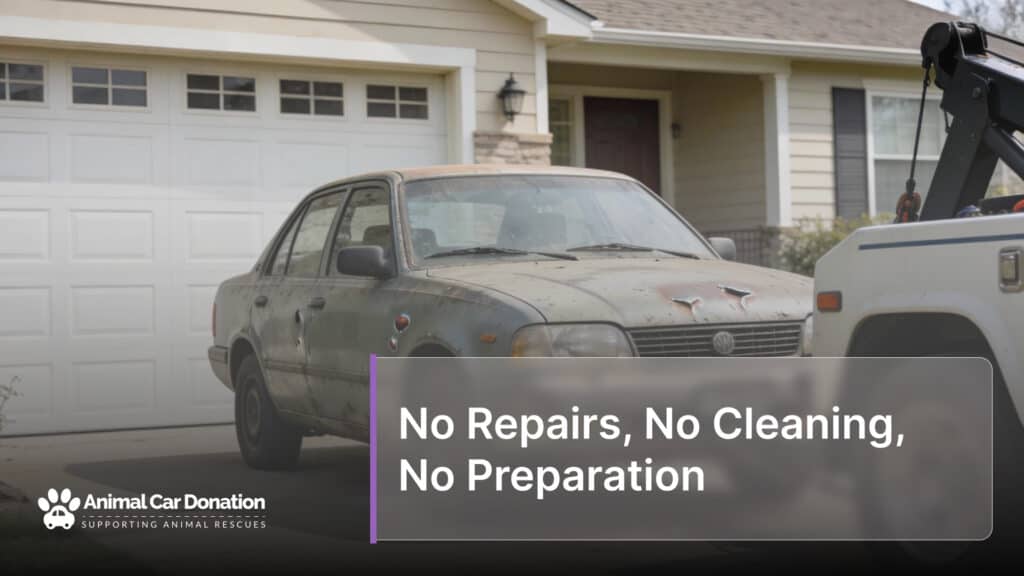 No Repairs, No Cleaning, No Preparation