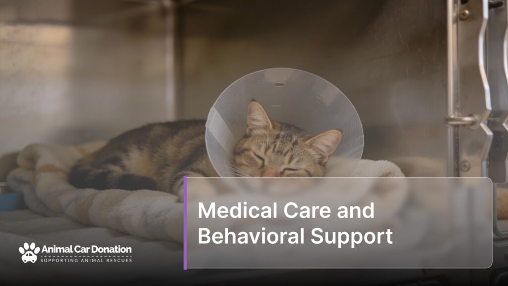 Medical Care and Behavioral Support