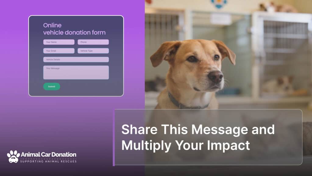 Share This Message and Multiply Your Impact