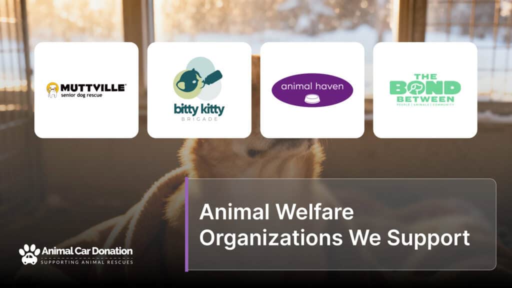 Animal Welfare Organizations We Support