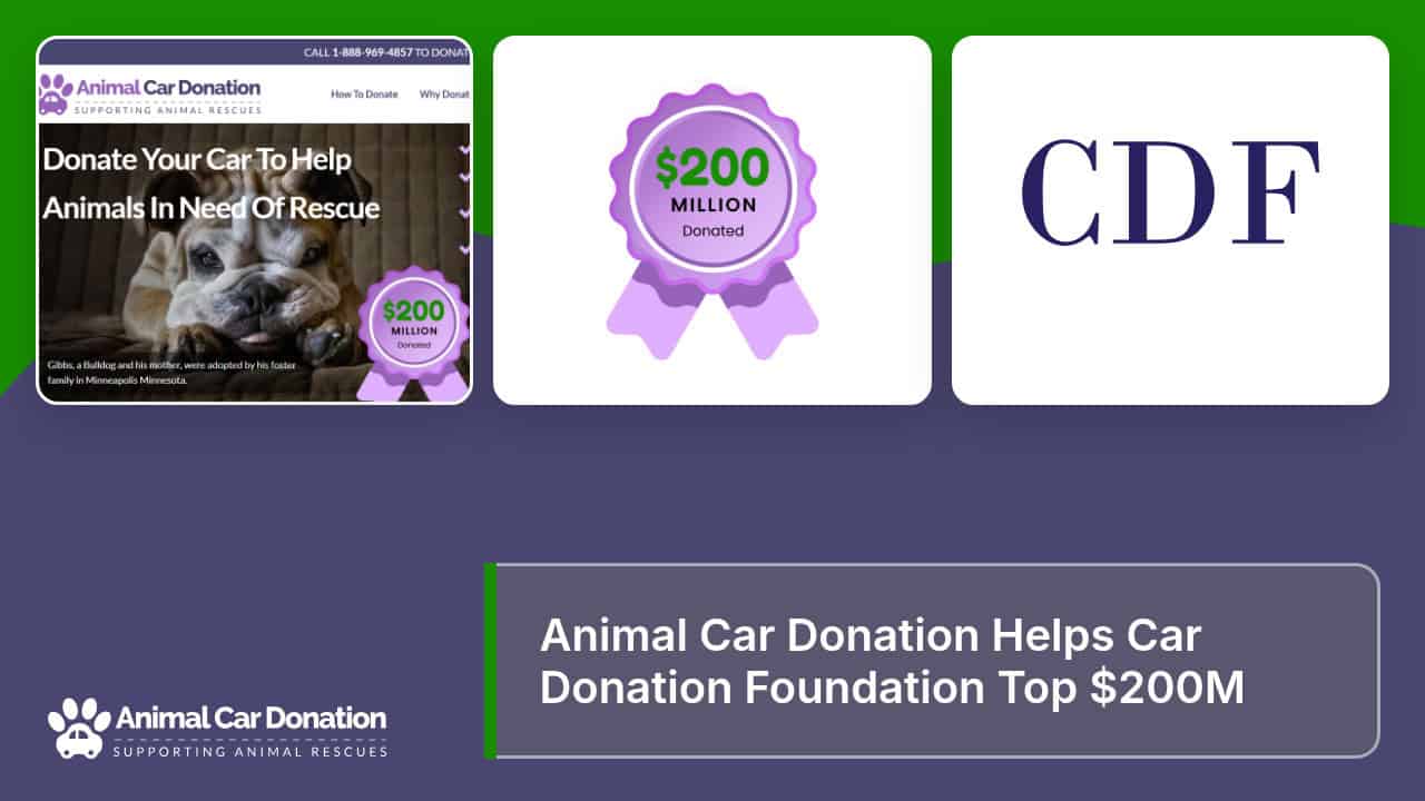 Animal Car Donation Helps Car Donation Foundation Top $200M